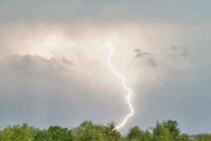 lightening hitting a tree causing tree damage edwardsville illinois