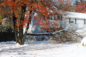 Broken and dead tree branch with orange leaves falling and damaging residential property in the winter