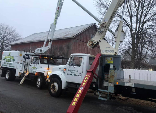tree service company in the Troy IL area