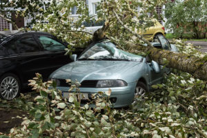 A black and light blue car crushed by a fallen tree limb and branches due to heavy storms in the Southern Illinois area