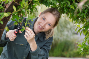 Woman in a grey landscaping uniform using red and black clippers to keep up with residential tree maintenance services