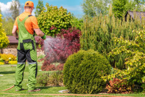 Professional arborist in a green and orange uniform using a hose to water small residential bushes and trees in central Illinois