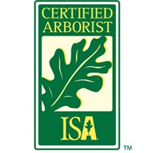 Green, white, and yellow ISA Certified Arborist logo for professional tree trimming companies in Troy, IL.