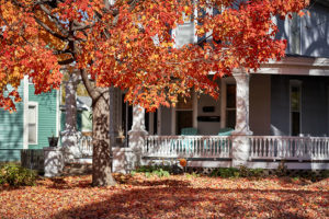 A small tree on a residential property in Troy, IL with bright orange leaves in the fall that adds colors to a homeowner’s lawn.