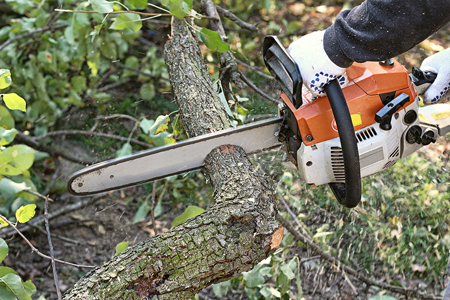 tree trimming professional using a commercial grade chainsaw to trim branches off of an overgrown tree in Troy, IL.