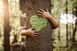 A person hugging a tree with a green moss heart in the center of the trunk in Highland, IL.