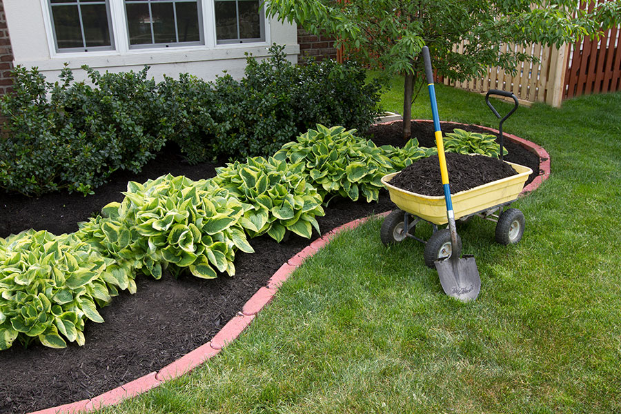 A yellow wheelbarrow full of dirt used to plant shrubs in front of residential property in Collinsville, IL.