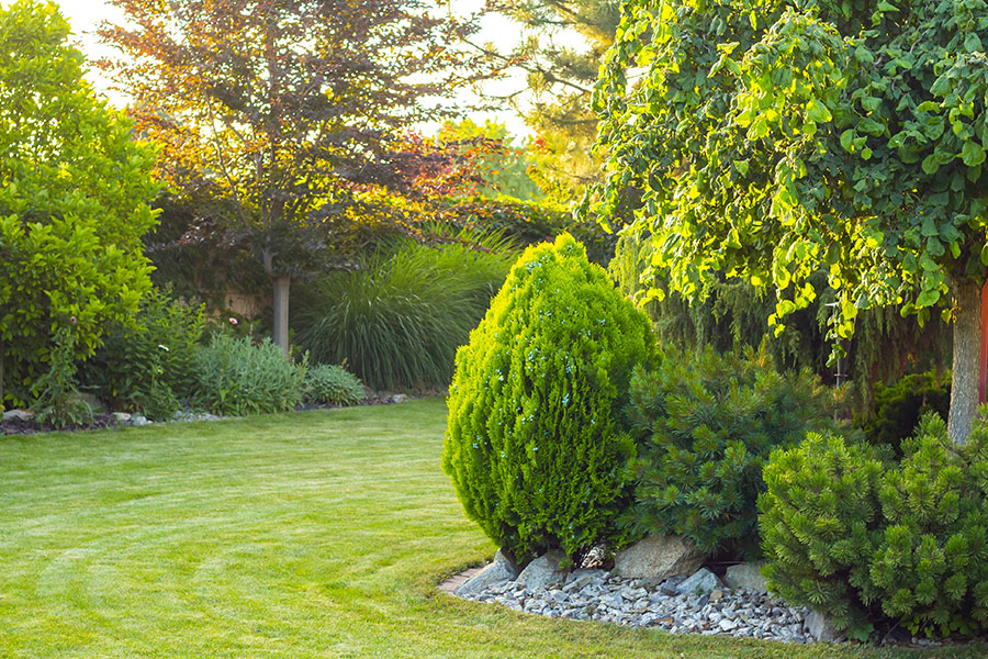 A beautifully maintained property in Troy, IL thanks to our tips on how to take care of your trees and shrubs in the summer.