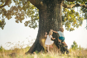 Two children hugging a fully-grown healthy tree thanks to tree maintenance services by professionals in Troy, IL.