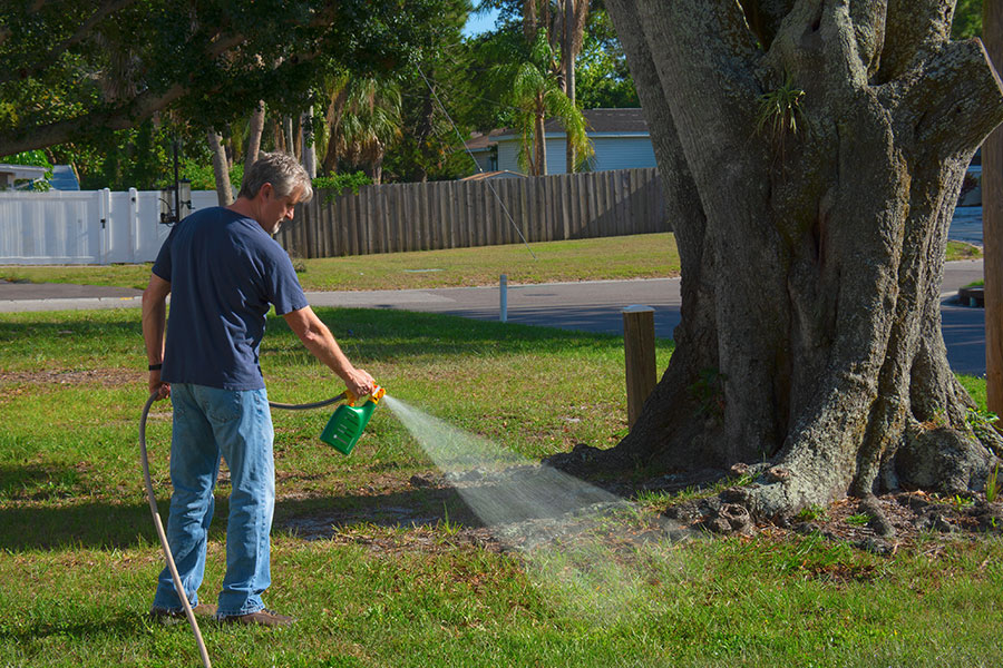 A homeowner caring for the trees on his property by spraying fertilizer.