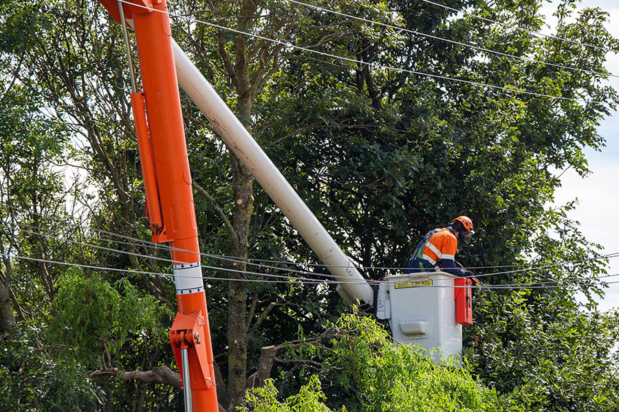 A professional tree trimmer using a crane and bucket to trim large limbs off a residential tree near power lines in Troy, IL.
