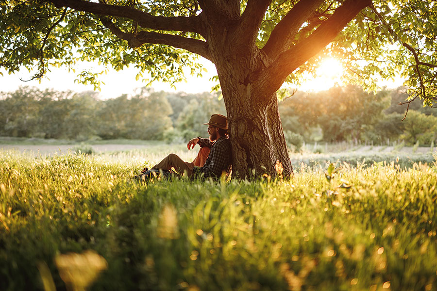 A man resting against a sturdy tree in the summer sunshine in Edwardsville, IL.