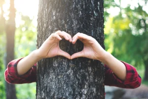 A person in Madison County hugging a tree, making the shape of a heart around their tree to symbolize a healthy tree.