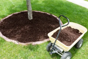 A wagon full of quality mulch stands by a young tree in the yard of a Madison County, IL home.