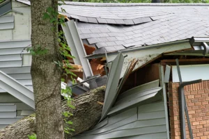 A small house is damaged by a fallen tree in the aftermath of a storm in Madison County, IL.