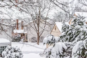 Neighborhood in Madison County, IL full of trees with snow on their branches during the winter season.