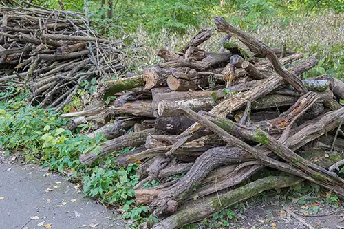 A-Unlimited Tree Service—A pile of deadwood gathered from trees on a residential property in O'Fallon, IL.