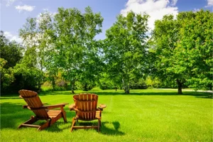 A-Unlimited Tree Service—Two lawn chairs sit in the grass by a row of trees during the summer season in Belleville, IL.