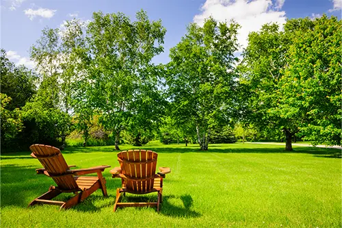 A-Unlimited Tree Service—Two lawn chairs sit in the grass by a row of trees during the summer season in Belleville, IL.
