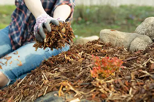 A-Unlimited Tree Service—a female gardener uses leaf and bark mulch for her trees on her Glen Carbon, IL landscape.