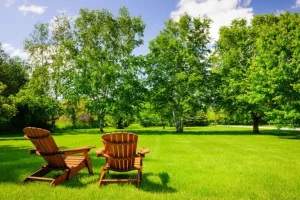 A-Unlimited Tree Service—Two lawn chairs sit in the grass by a row of trees during the summer season in Belleville, IL.