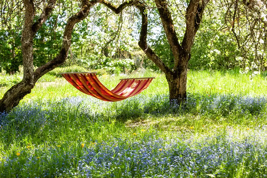 A-Unlimited Tree Service—Two trees support a hammock between them during the summer season in a yard in Belleville, IL.
