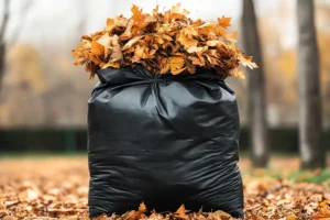 A-Unlimited Tree Service—A large black garbage bag filled with autumn leaves in Belleville, IL.