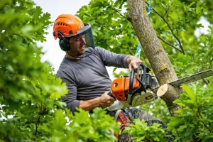 A-Unlimited Tree Service—An arborist cutting an oak tree branch with a chainsaw while wearing safety gear at a property in Edwardsville, IL.