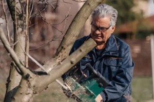 A-Unlimited Tree Service—A senior homeowner attempts to trim back his tree in his yard in Collinsville, IL.