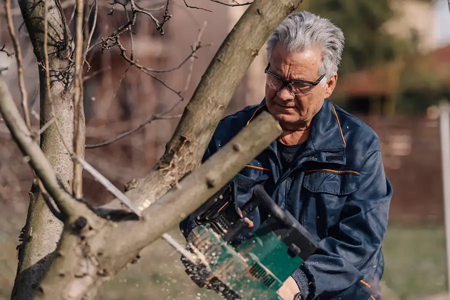 A-Unlimited Tree Service—A senior homeowner attempts to trim back his tree in his yard in Collinsville, IL.