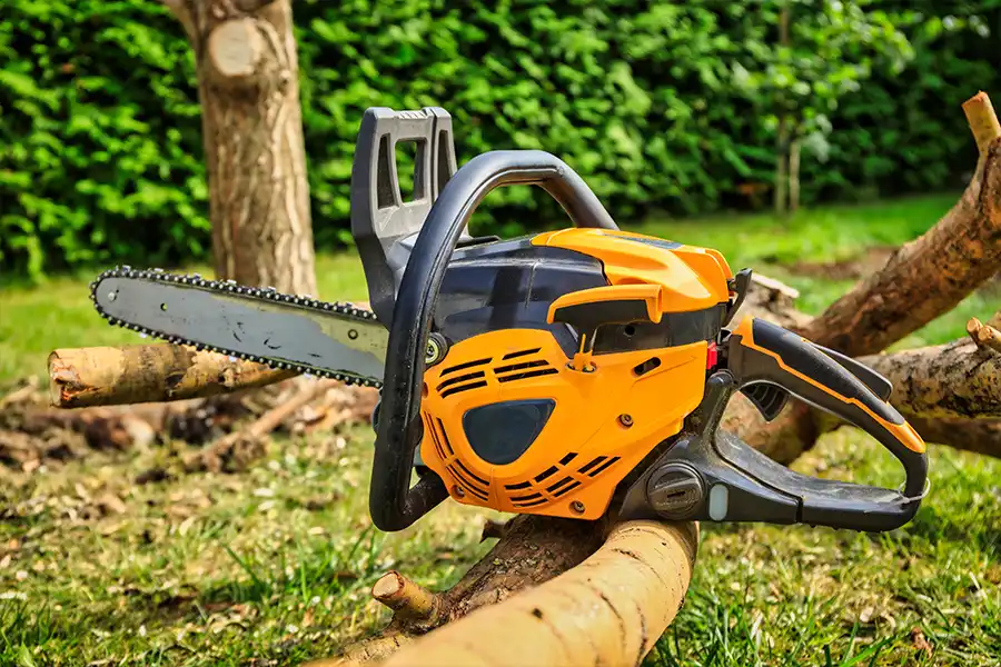 A-Unlimited Tree Service —a chainsaw sitting on top of willow limbs in Collinsville, IL.