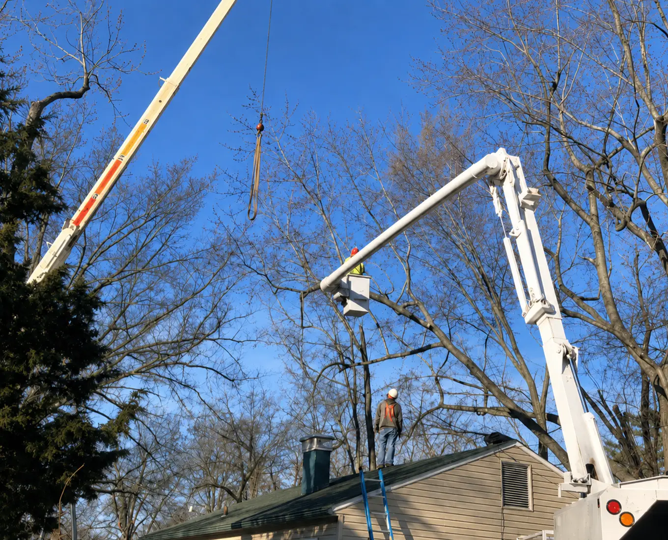 routine tree trimming and pruning services in troy il
