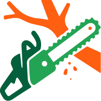 professional equipment icon