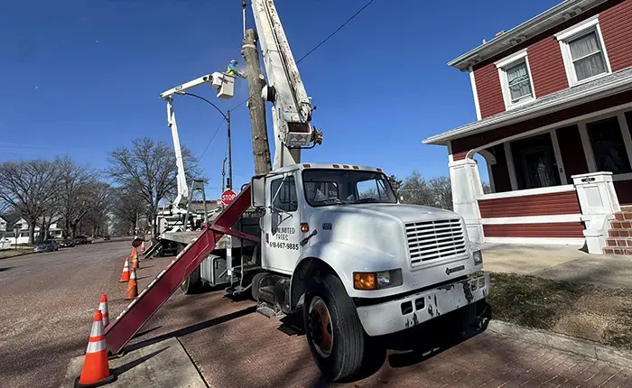 Bucket Truck Services for Challenging Tree Projects in Collinsville IL