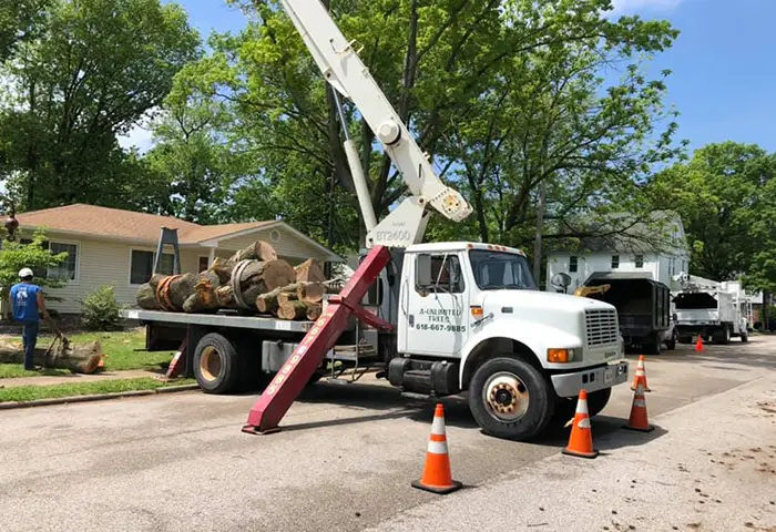 Safe Tree Removal for Homes and Businesses in Collinsville IL