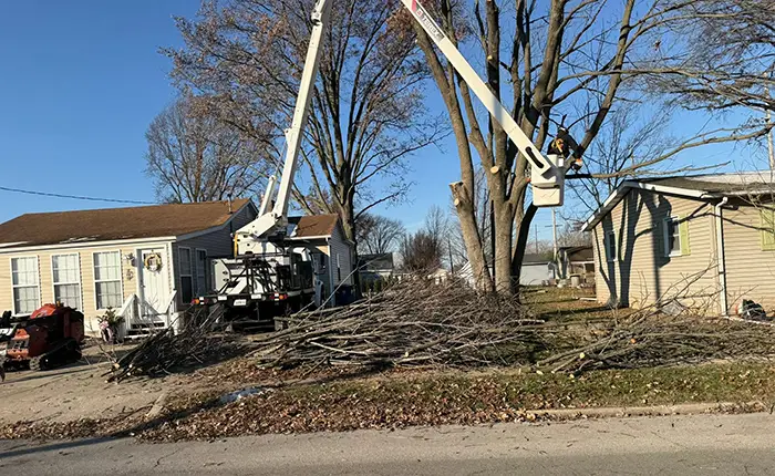 Crown Reduction Solutions for Collinsville IL Properties