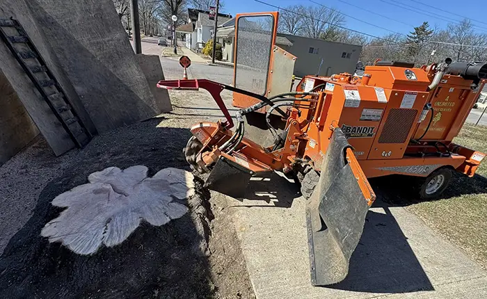 Reclaim Your Yard with Stump Grinding in Collinsville IL