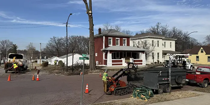 Professional Tree Services in Glen Carbon IL and Surrounding Communities