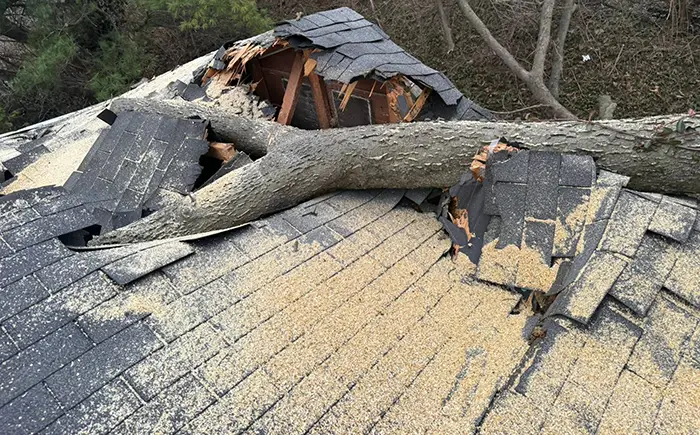 Fast Emergency Tree Services Following Storms in Glen Carbon IL