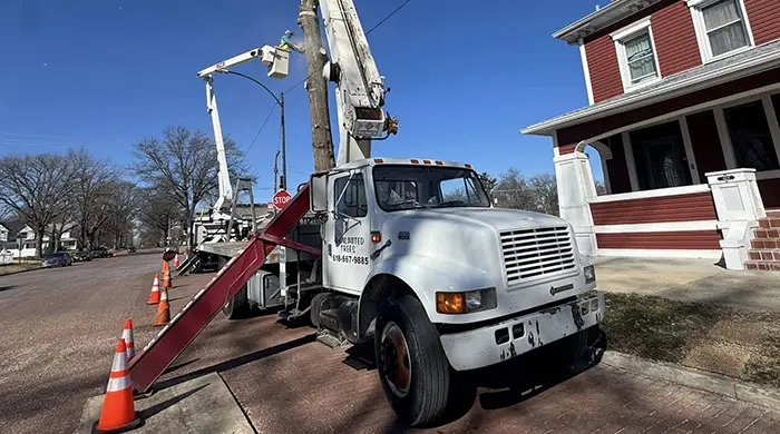 Bucket Truck Services for Challenging Tree Projects in Trenton IL