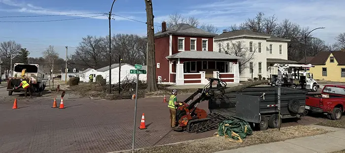 Professional Tree Services in Trenton, IL and Surrounding Communities