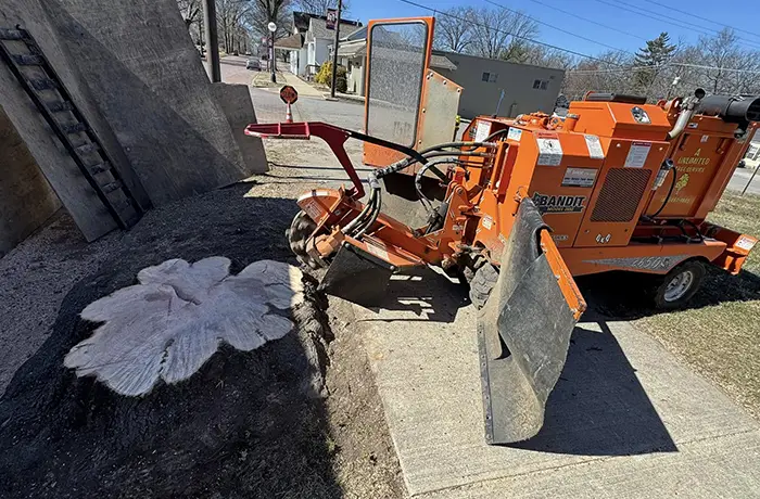 Restore Your Landscape with Stump Grinding in Trenton IL
