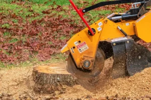 A-Unlimited Tree Service—A stump grinder removes a stump from a yard outside a home in Edwardsville, IL.