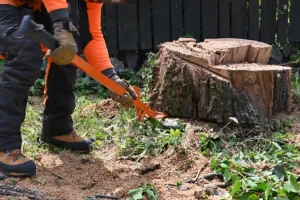 A-Unlimited Tree Service—A worker uses tools to remove a tree stump from a yard in Belleville, IL.