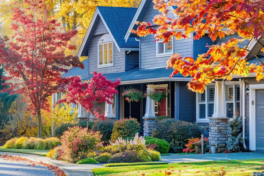A-Unlimited Tree Service—A home with multiple trees in the front yard in Belleville, IL